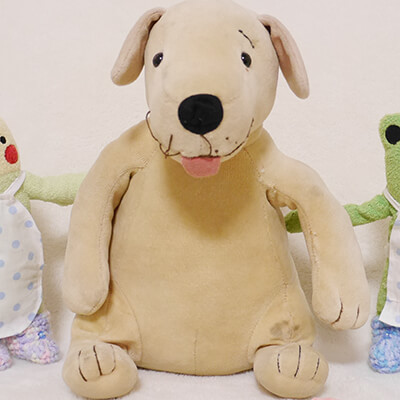 さまざまな症例一覧 フモフモランドぬいぐるみ病院